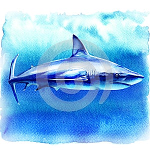 Ocean great white shark in the deep blue water, side view, big fish predator, hand drawn watercolor illustration on