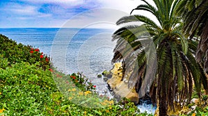 Ocean Inlet With Blooming Nasturtiums and Geraniums