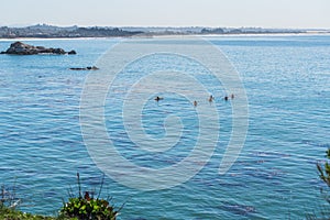 Ocean kayaking. Silhouettes of tourists paddling kayaks along the Pacific ocean close to Pismo Beach, California