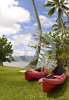 Ocean Kayaks at Kaneohe Bay, Hawaii photo
