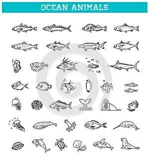 Ocean life. Underwater fauna flat line collection