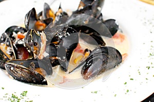 Ocean mussels dish cooked