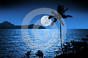 Ocean Night Moon Sky Tropical