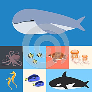 Ocean, ocean collection of fish. Flat illustration