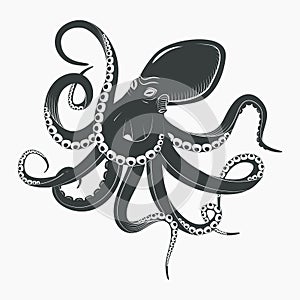 Ocean octopus or underwater squid