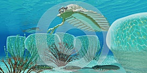 Ocean Opabinia photo