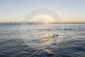 Ocean Paddler Surf-Ski Sunrise