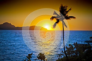 Ocean Palm Tree Tropical Sunset Sky