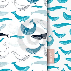 Ocean Patterns With Blue Whale On White Background.