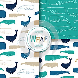 Ocean Patterns With Sperm Whale / Cachalot On White Background.