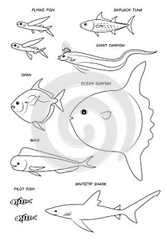 Ocean pelagic fish. Vector black outline image.