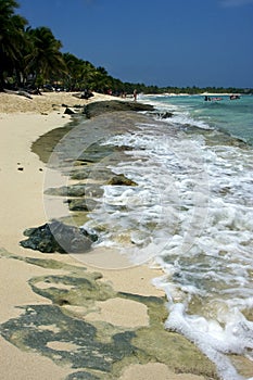 Ocean in republica dominicana photo