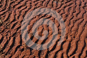 Ocean ripples in mudflats