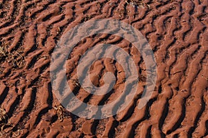 Ocean ripples in mudflats photo