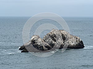 Ocean rock formation with seagulls flocking and resting on a cold day