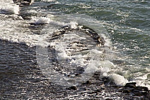 Ocean and Rocks at low tide