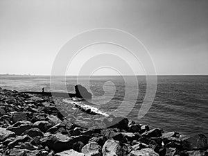 The ocean and rocky shore in black and white