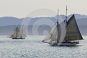 Ocean Sailing Ships