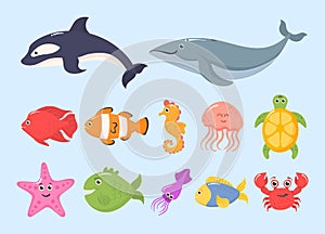 Ocean, sea animals.