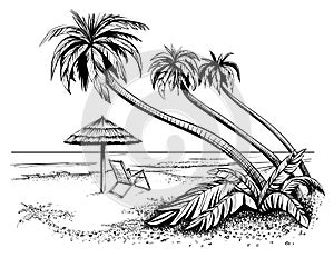 Ocean or sea beach with palms, sketch. Black and white vector illustration.