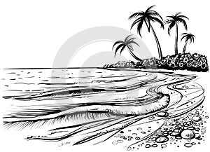 Ocean or sea beach with palms and waves, sketch. Black and white vector illustration.