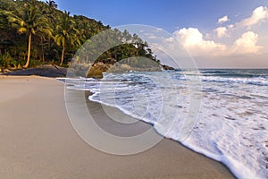 Ocean seashore with palm at sunrise in Phangan island