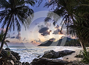 Ocean seashore with palm at sunrise in Phangan island
