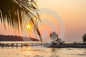 Ocean seashore with palm at sunrise in Samui island