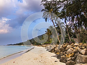 Ocean seashore with palm at sunrise in Samui island