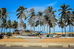 Ocean Seaside with the Palm Trees and Sandy Beach in Togo