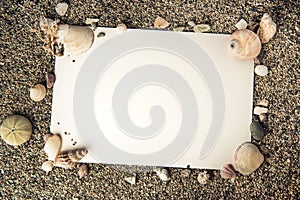 Ocean shell frame background with white paper