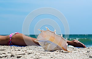 ocean shell on the sand against the background of a tanning girl in a colorful swimsuit on the beach