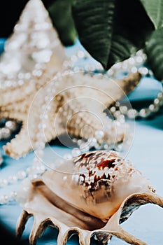 Ocean shells, starfish and pearls on a blue background c