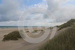 Ocean shore with Marram grass and slippery sand dunes on a cloudy day