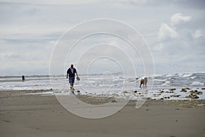 Man and dog were playing on Ocean Shores