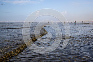 OCEAN SHORES, WA/USA Ã¢â¬â NOVEMBER 24, 2019: Copalis Beach, people out digging for razor clams at low tide in late afternoon.