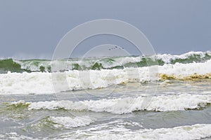 Ocean shores waves