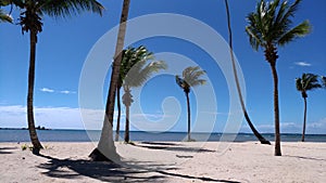 Ocean Side Early Day