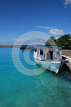 Ocean, sky and Dhoni.