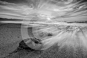 Ocean Starfish Beach Wave Sunset Black And White