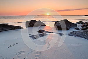 Ocean Sunrise Folly Beach South Carolina photo