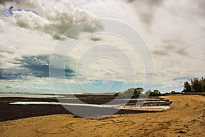 Ocean, Tidal Zone in Australia, Queensland Wellington Point