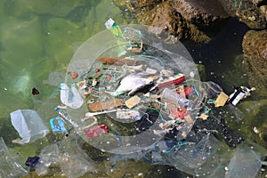 Ocean Trash