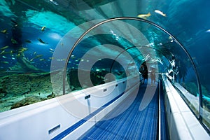 Ocean Tunnel