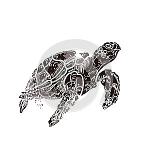 Ocean turtle in linocut retro style isolated on white