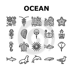 Ocean Underwater Life Collection Icons Set Vector