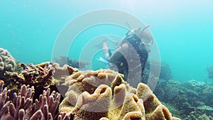 Ocean, underwater and man with scuba diving by coral reef, research or sustainable marine environment. Sea, aquarium and