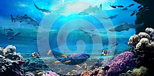 Ocean underwater with marine animals. 3D illustration