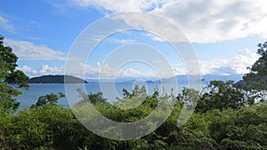 Ocean view of the Atlantic forest in Serra da Bocaina