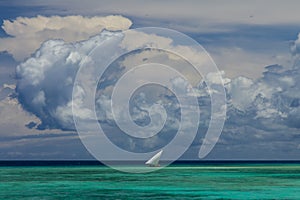 Ocean view cloud sail